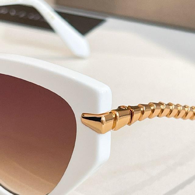 SAINT LAUREN*太阳眼镜💫💫💫 MODEL：SL M252 💫💫💫