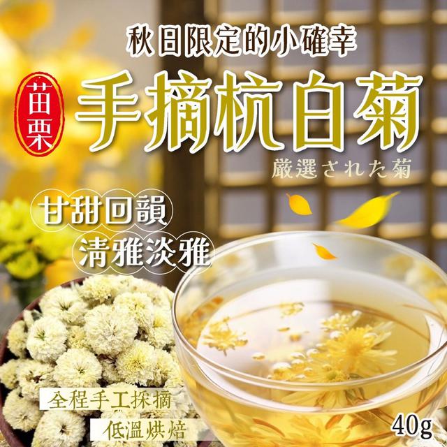 預購 苗栗手摘杭白菊40g -3/3下午3點收單
