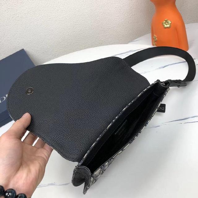 正面的铂金菲尼西·布拉斯·Dior签名 内部Dior标志性压花