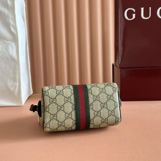 Ophidia系列匠心演绎新颖廓形与功能，搭配标志性的米色和棕色配色