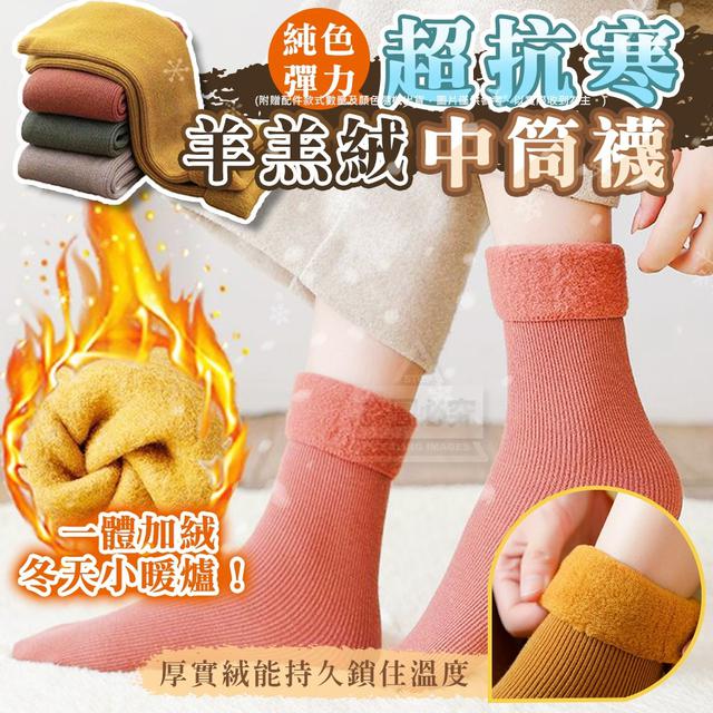 【預購】【1228結單】【批發】純色超抗寒-彈力羊羔絨中筒襪5雙