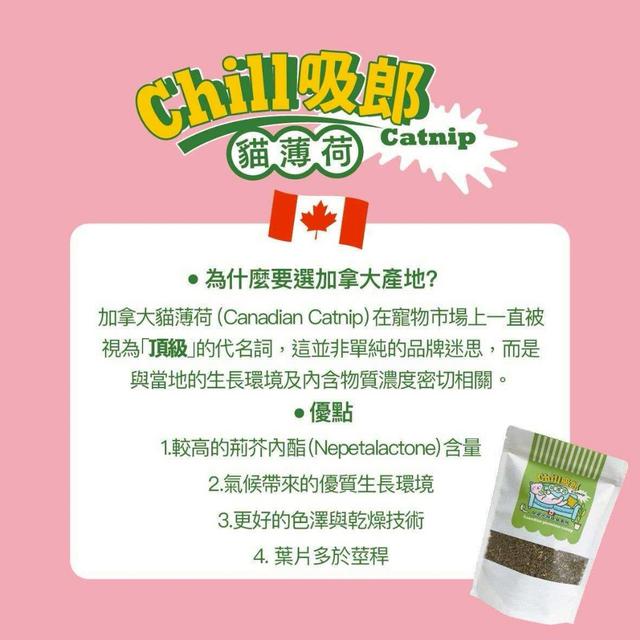 chill吸郎～加拿大頂級貓薄荷｜花苞大容量80g-4/22號中午12點結單