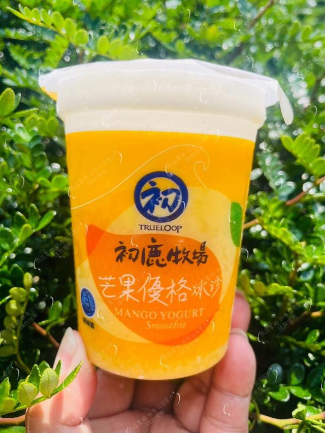 阿奇儂X初鹿牧場芒果優格(3杯一組) 40組以上免運不散賣