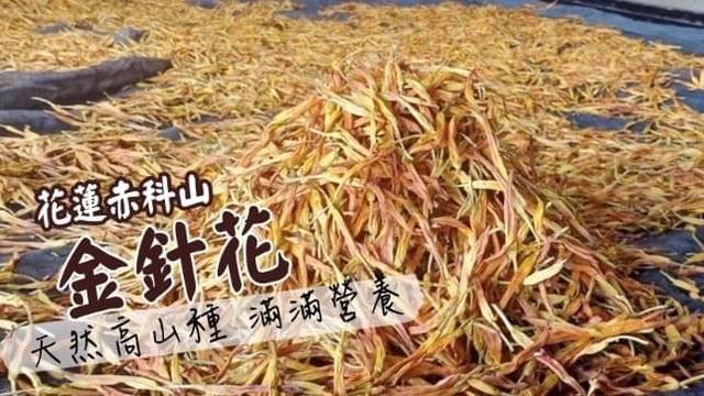 花蓮赤科山高山金針花20包以上免運不散賣
