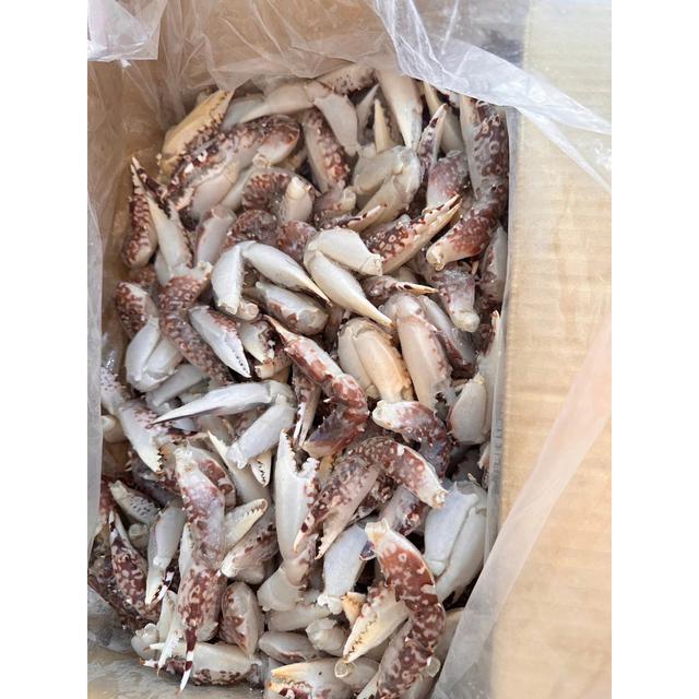 現貨 蟹腳/花蟹腳/藍花蟹腳300g