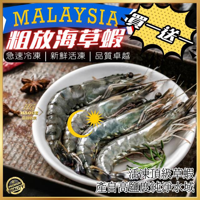 現貨馬來西亞粗放海草蝦(2盒)