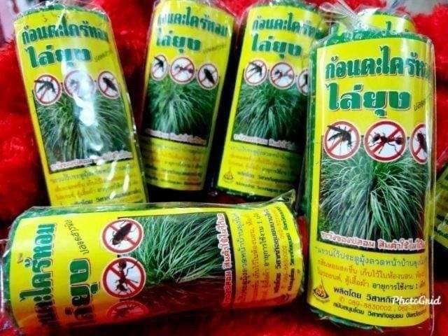 C預購 防蚊利器 泰國正版 驅蚊掛🇹🇭(一組三個)