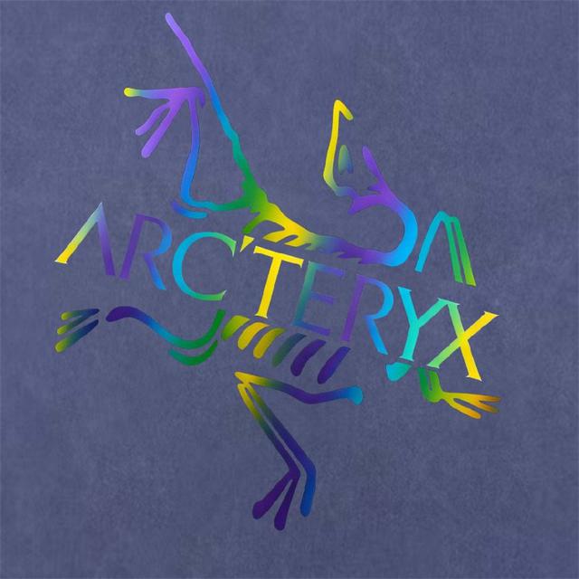 全网独家首发 百搭款细节处理完美  数码直喷印花工艺