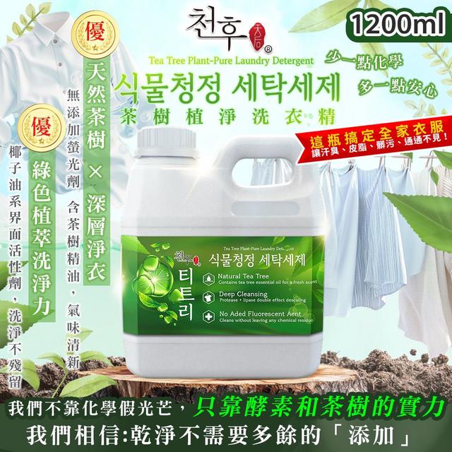 預購 天后 茶樹植淨洗衣精1200ml -8/12下午3點收單