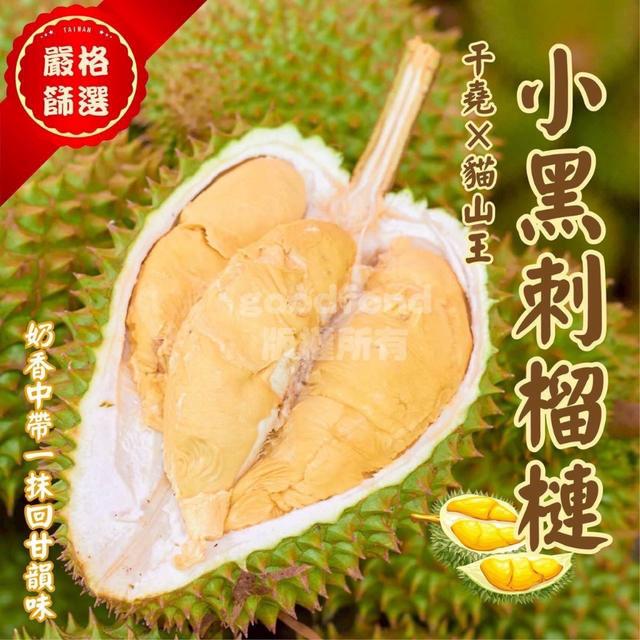 【越南榴槤王中王｜小黑刺榴槤（樹上黃金）20 盒倍數免運出貨不散賣