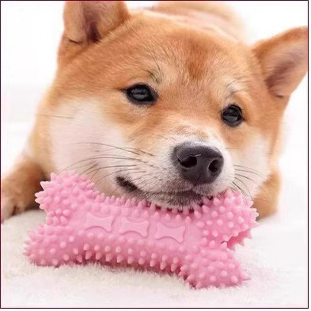 狗狗玩具球耐咬磨牙棒幼犬小狗解悶橡膠球泰迪小型犬狗咬膠狗用品