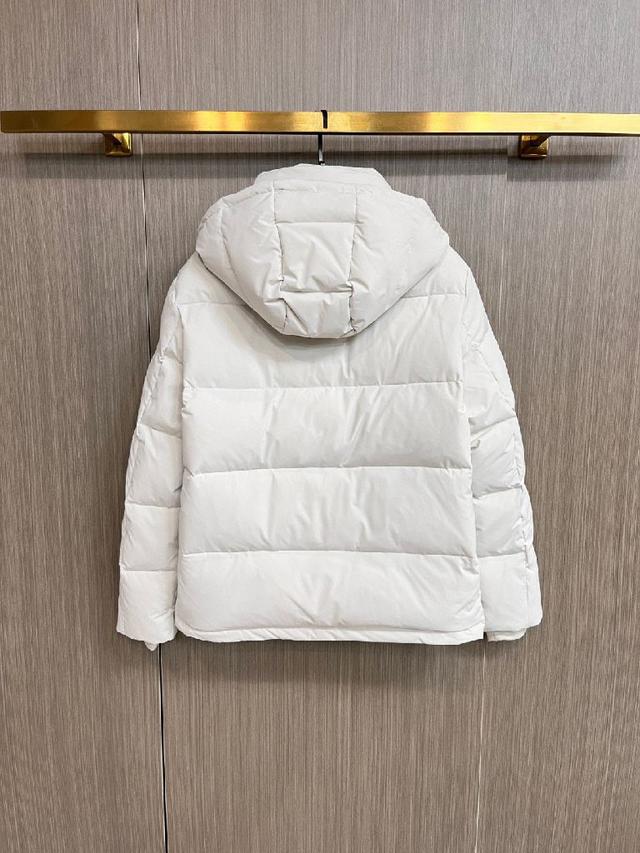 新款羽绒服。这款号称羽绒服届最贵的，全部90绒的。
