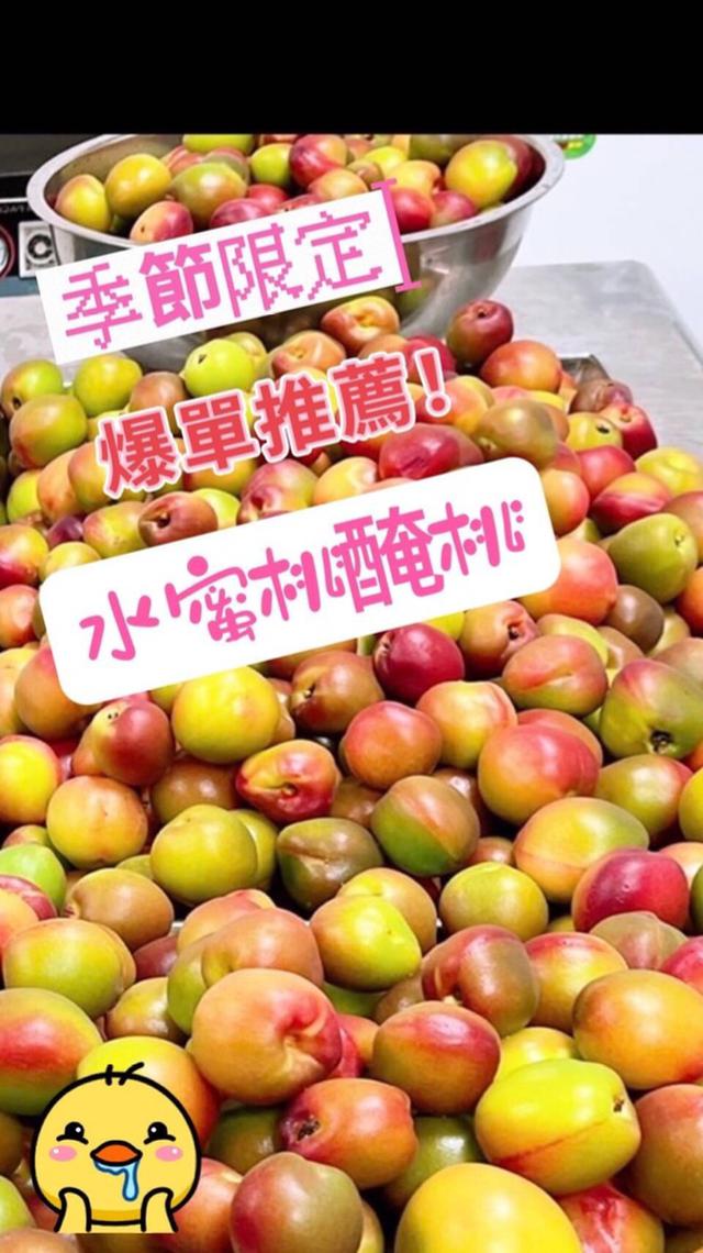手工水蜜桃醃桃30包倍數免運 不散賣