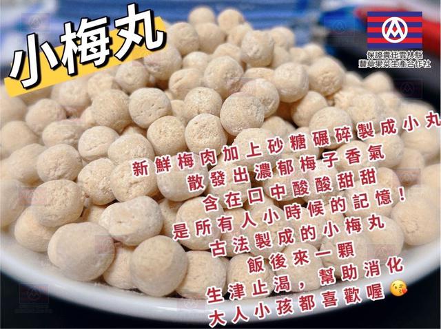 【預購】【0410結單】【批發】【第N團】爆團 💥60年古早味手工大梅餅、小梅丸