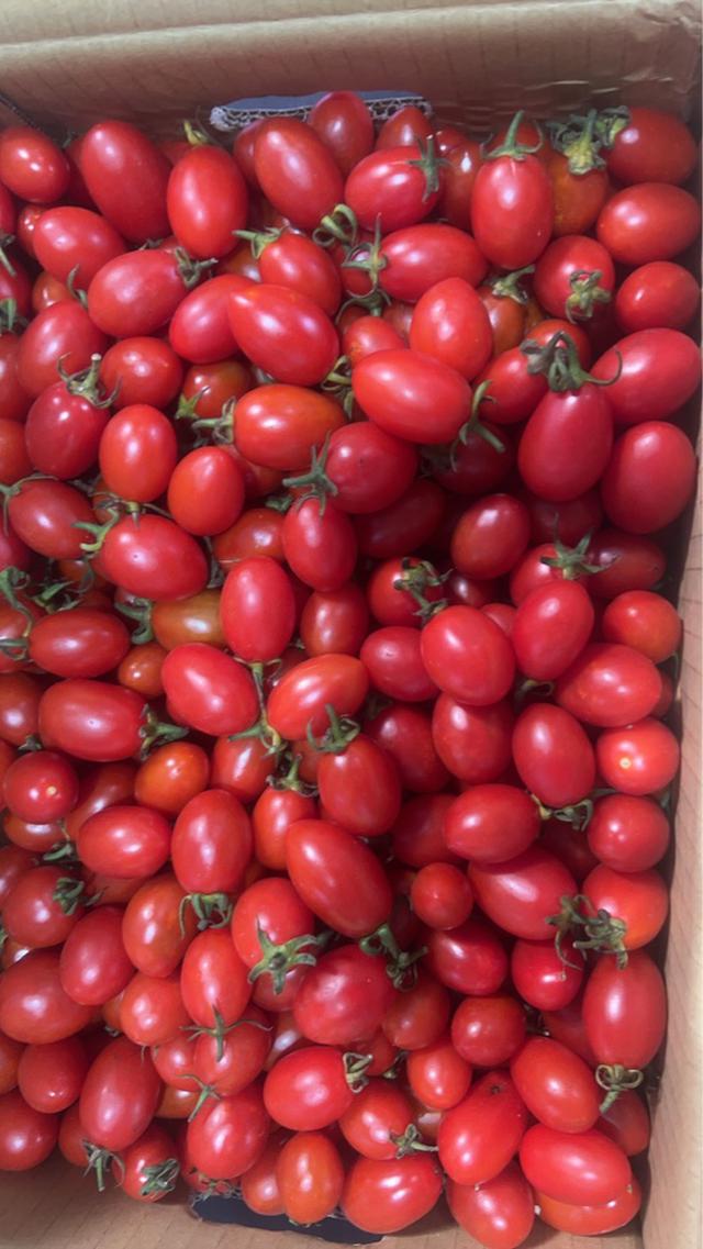 現貨 聖女小番茄(10斤一箱)