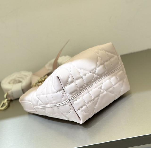 mini竖版Toujours全新上市🌟 🆕软乎乎的迪奥土著超迷你