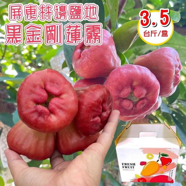 預購 屏東林邊鹽地黑金剛蓮霧 3.5台斤(6盒/箱)《箱出免運》-12/24號中午12點結單