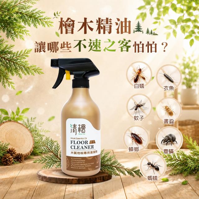 預購 清檜 木質地板專用清潔劑 500ml-9/16號中午12點結單