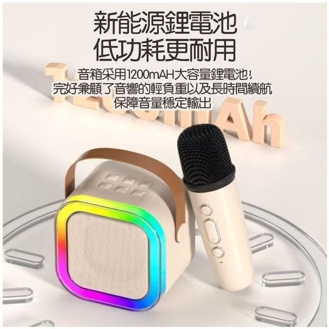 【現貨】藍牙K歌音箱小音響(雙麥+音箱)