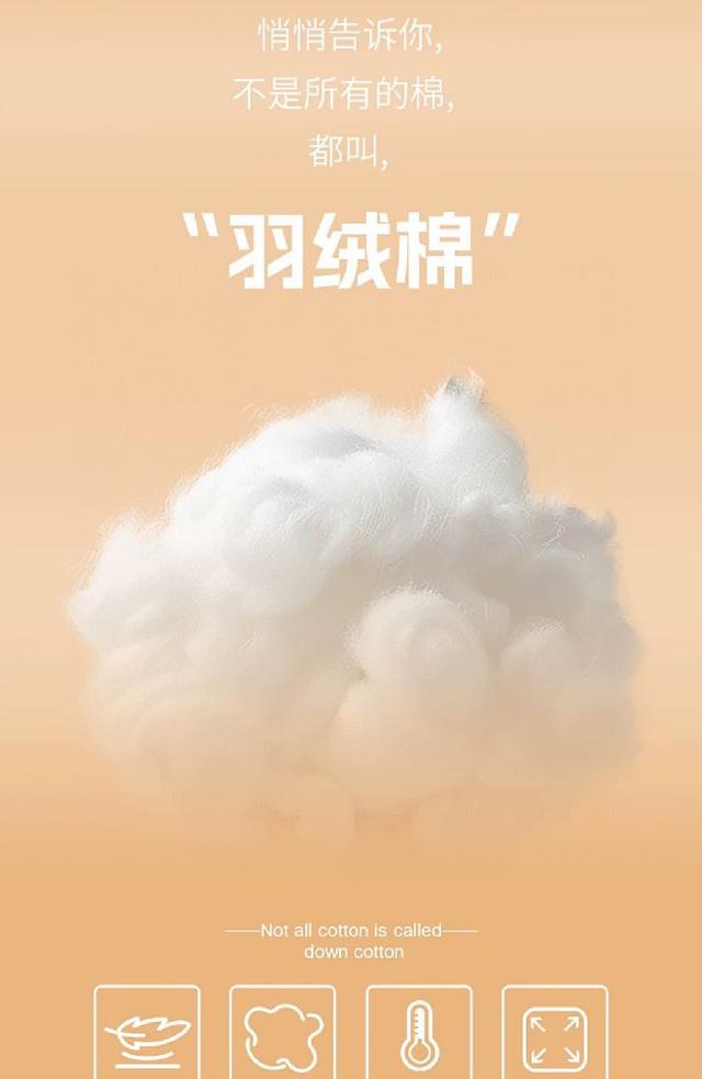 抓绒拉链夹克外套 采用岛国進口的醉新的阳离子面料花纱针织面料