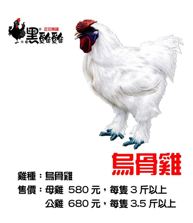 正花東烏骨雞
