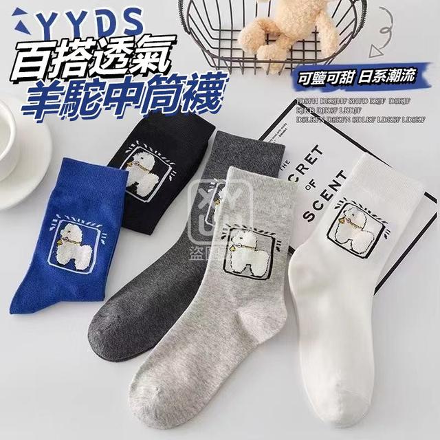 O  百搭透氣羊駝中筒襪6雙-5/21結單