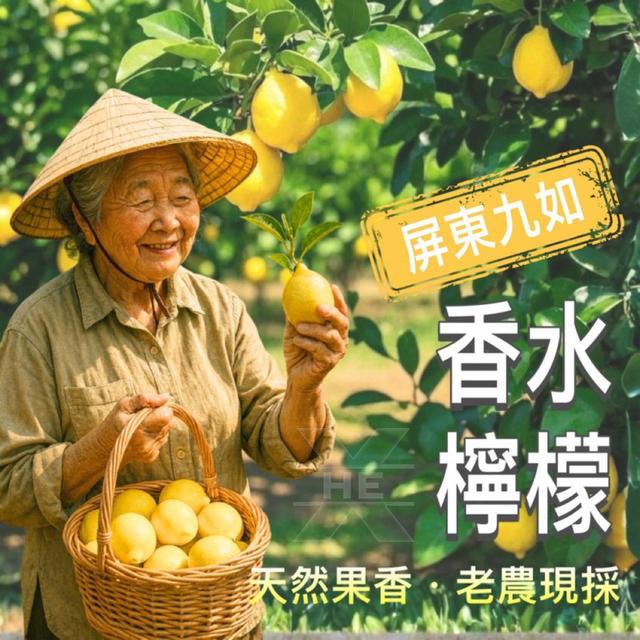 【預購商品】【0520結單】【批發】香水檸檬片150g 260518-13