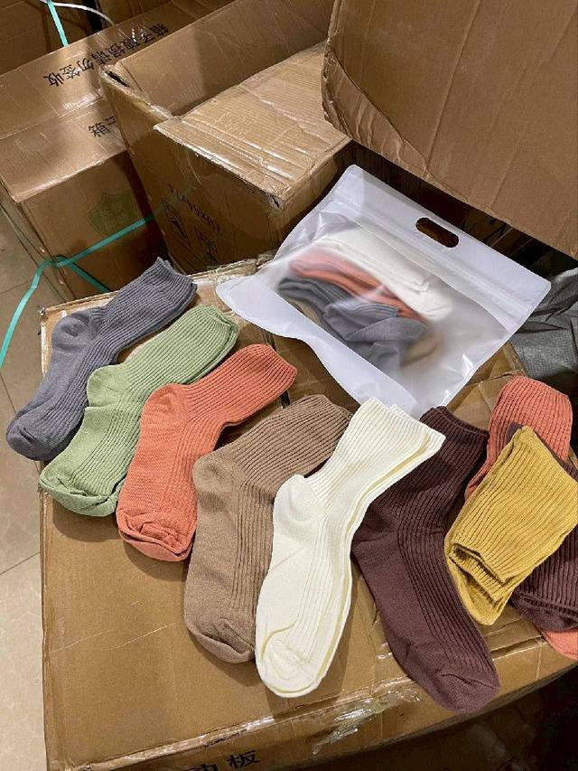 #收單260101-全棉雙針襪10雙組