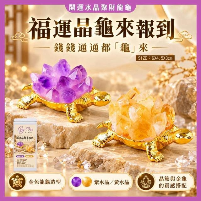 【預購商品】【1019結單】【批發】開運水晶聚財龍龜 261017-23