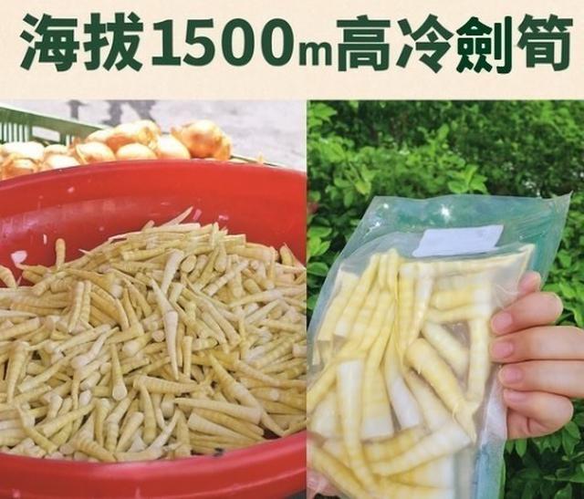 阿里山劍筍 ( 300g／包｜50包／箱）-12/10號中午12點結單