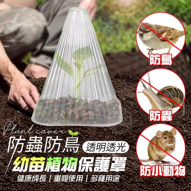 【預購商品】【1115結單】【批發】透明透光防蟲防鳥幼苗植物保護罩20入 251111-11