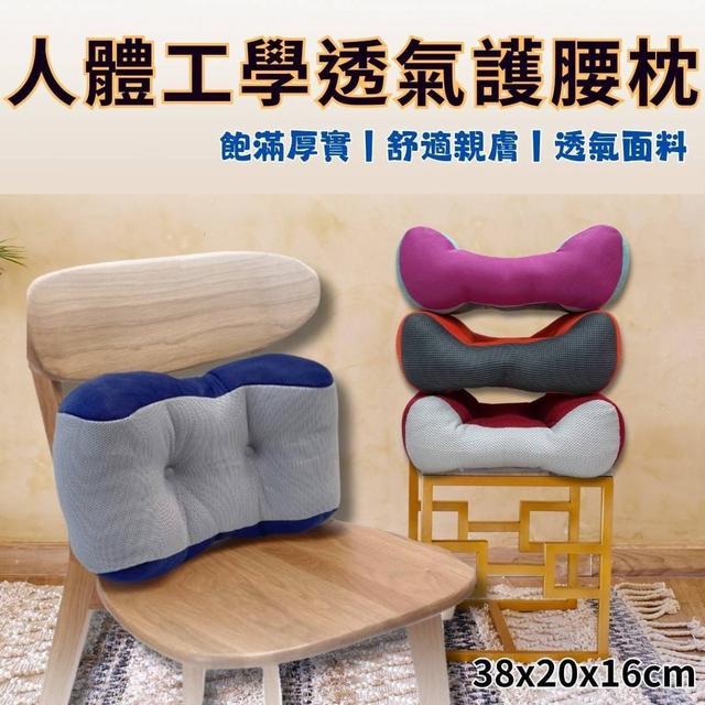 【預購商品】【0410結單】【批發】優惠超值款✨人體工學護腰枕 240406-17