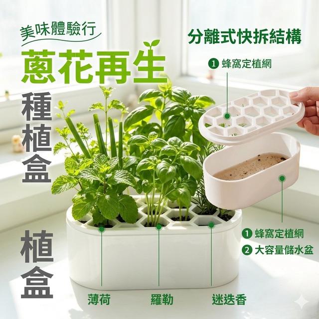 【預購商品】【0722結單】【批發】蔥花再生種植盒2入 260720-07