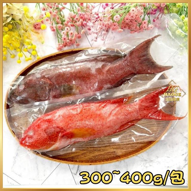 11/14(五)中午12點收單⚠️ 野生三去🐟紅條石斑魚