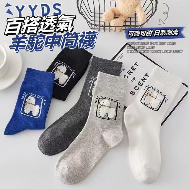 【預購商品】【0529結單】【批發】百搭透氣羊駝中筒襪6雙 250527-16