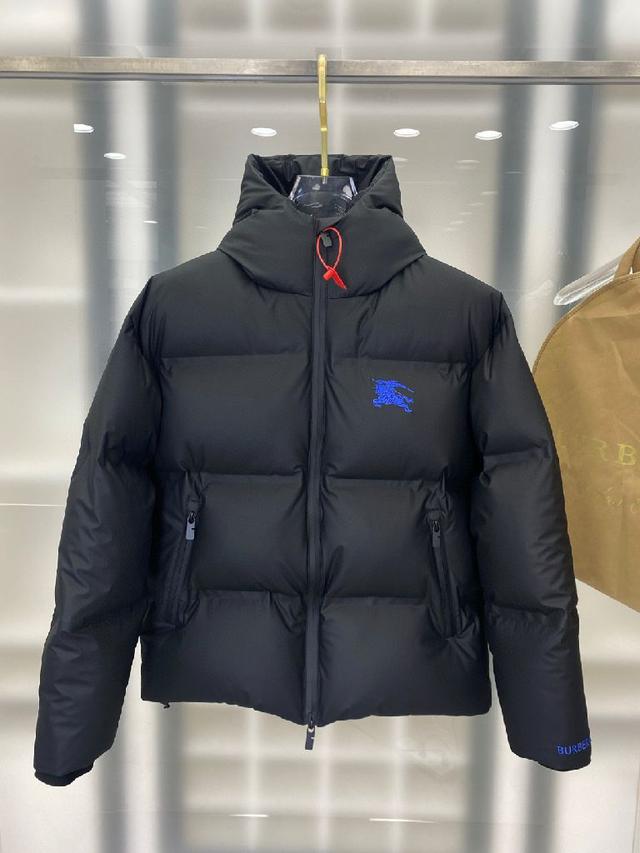 PA 普拉达 1955秋冬新款立领羽绒服 ⚠️袖子可拆变马甲
