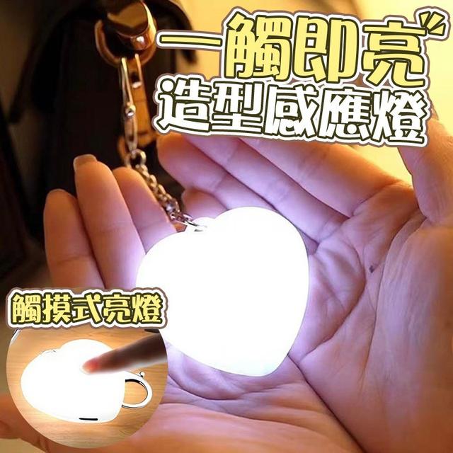 【預購商品】【1206結單】【批發】一觸即亮 造型感應燈 251204-01