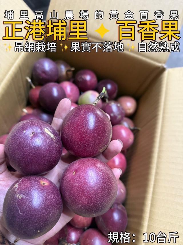 現貨 正港埔里 ✦ 百香果炸出登場10台斤