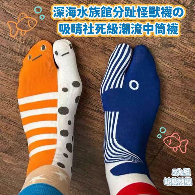 預購 深海水族館分趾怪獸襪の吸睛社死級潮流中筒襪（5入組 缺款隨機）-4/28下午3點收單