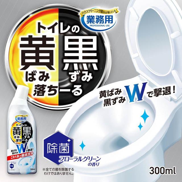 日本 Aimedia 職人級馬桶污垢魔力噴劑300ml