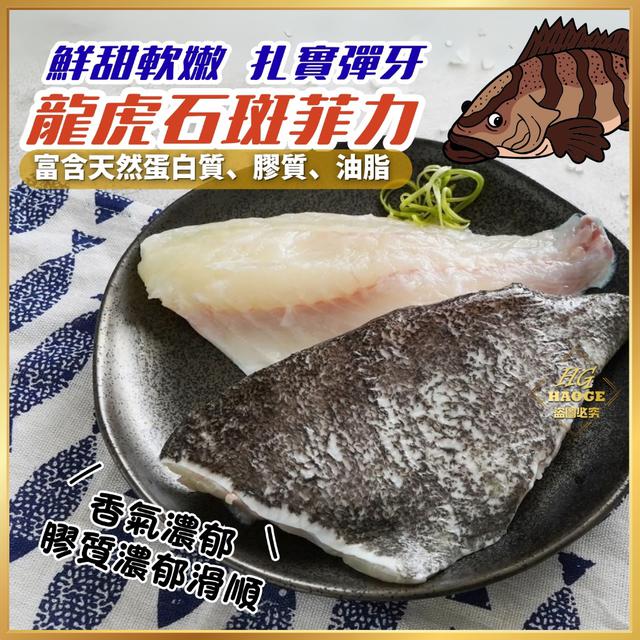 現貨魚中之王🔥龍虎石斑菲力