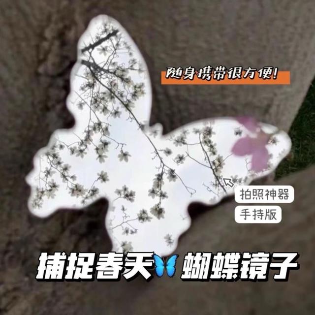 《預購》網紅小紅書蝴蝶同款化妝鏡補妝便攜 春日拍照神器意境便宜加厚創意