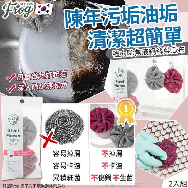 韓國 Frog 鍋子刷不壞軟鋼絲菜瓜布-2入組