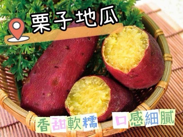 【預購商品】【0417結單】【批發】特A級栗子地瓜乾200g 260415-09