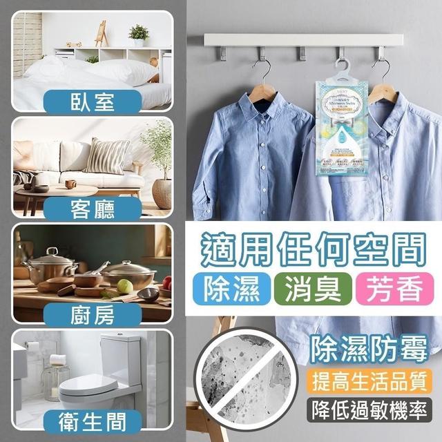 預購 午后之泳-香水除濕袋(5入/包)《一組2包》-7/2號中午12點結單