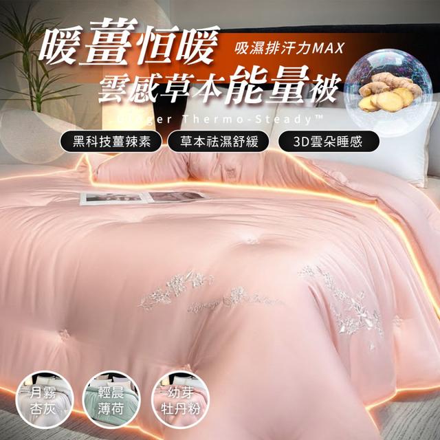 預購 2025爆款預警 暖薑恒暖 雲感草本能量被 薑辣素暖感科技 生薑暖暖冬被2300g【3款可選】