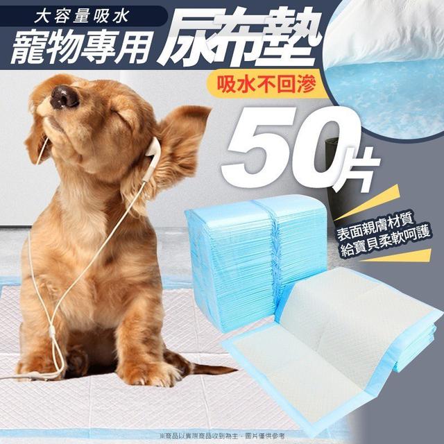 【廠商現貨供應中】【預購】【批發】大容量吸水！寵物專用尿布墊50片