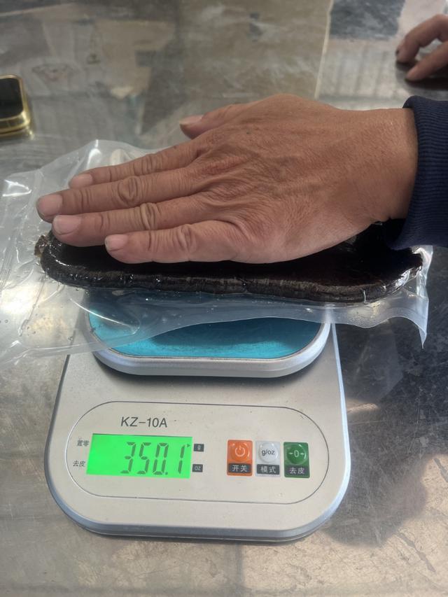 現貨9-10兩烏魚子血子