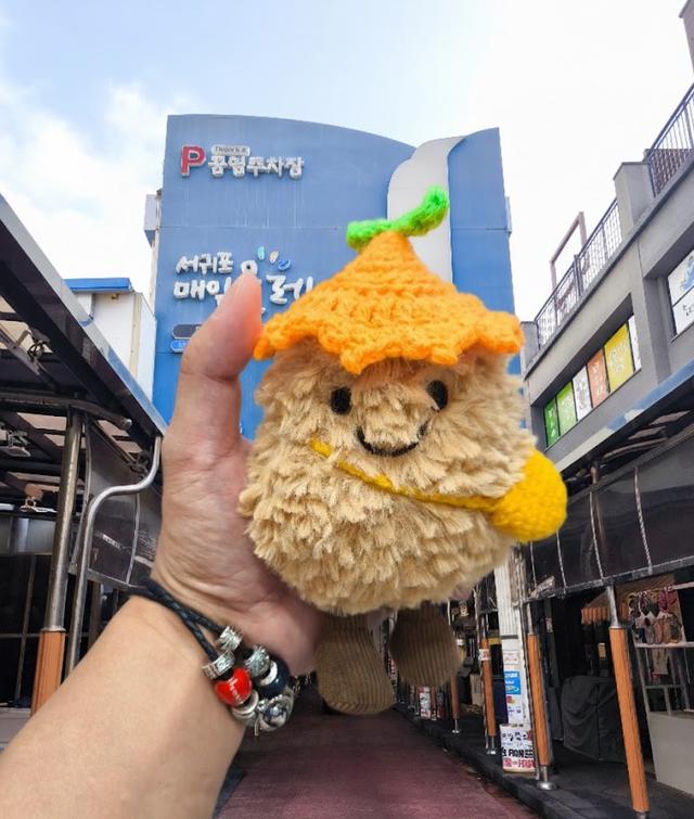 韓國🇰🇷濟州限定 苦盡柑來好事花生吊飾🤩-3/24下午3點收單