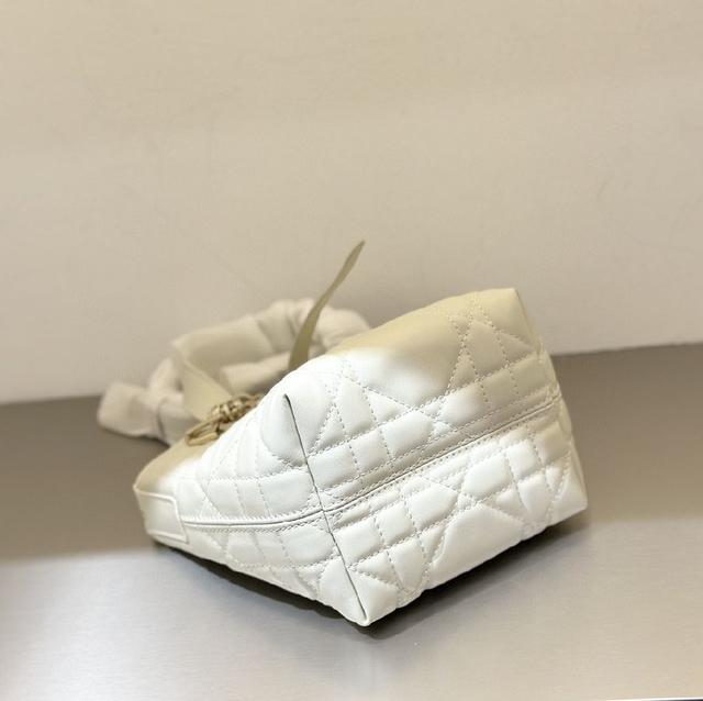 mini竖版Toujours全新上市🌟 🆕软乎乎的迪奥土著超迷你